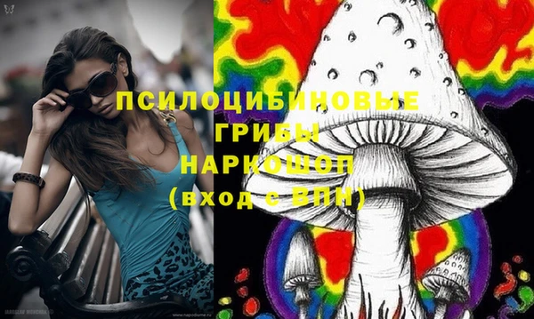 прущий лед Надым