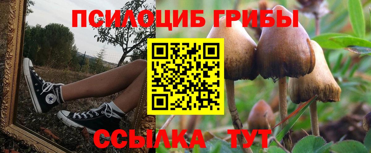 Галлюциногенные грибы Magic Shrooms  Вход с VPN  Кимры 