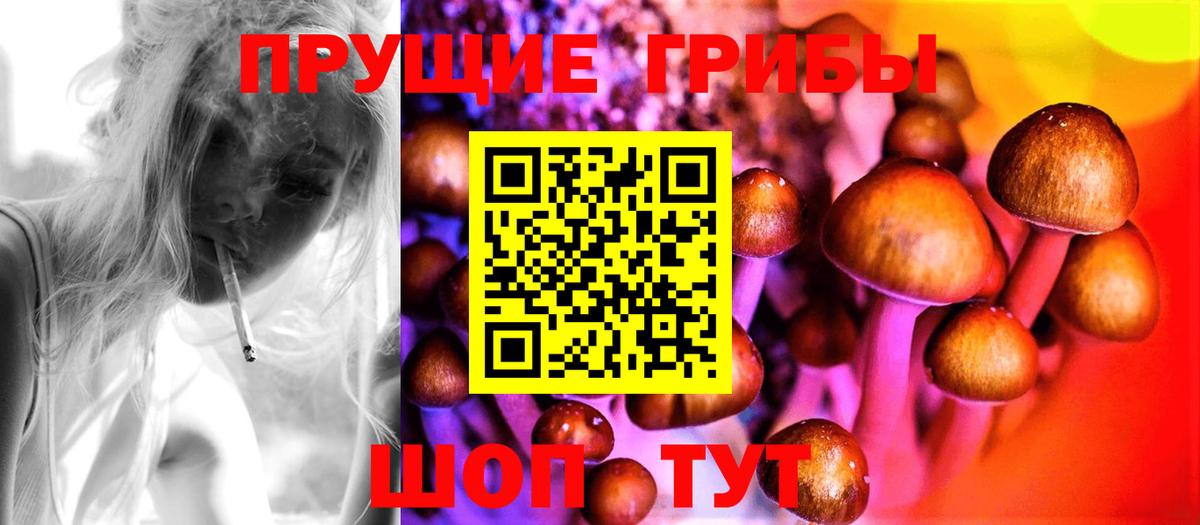  COCAIN Кимры